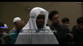 Really Beautiful Quran Tilawat 2930 Juz World Best Quran Recitation Imam Feysal Muhammad [upl. by Tecil]