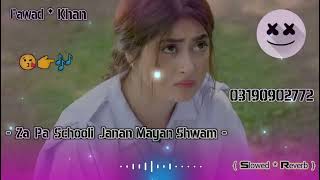 Za Pa Schooli Janan Mayan Shwam SlowedReverb PashtoSong  SadSong  Lofi Song  NewSong 2024 [upl. by Ellenrad947]