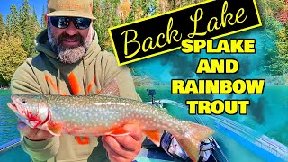 Fishing For Splake and Rainbow Trout in Northern Ontario  Flint Wilderness Lodge Back Lake Trip [upl. by Anana70]