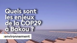 Les enjeux de la COP29 à Bakou [upl. by Epolulot887]