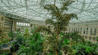 Exploring Gaylord Palms And Going To Dezerland Action Park For Trampolines Go Karts And Mini Golf [upl. by Ahsirk]