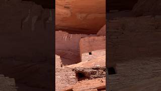 The history of Three Turkey Ruins wAlvin Yellowhorse navajo canyondechelly ruins [upl. by Hermine]