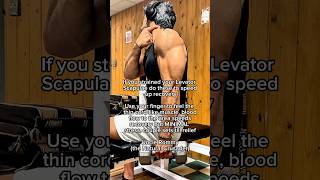 Strained Levator Scapulae Speedy Recovery Exercise [upl. by Aieki]