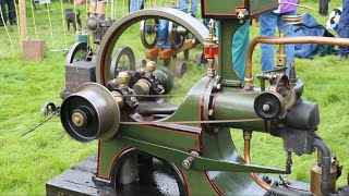 Stationary Engines At Shrewsbury Steam Rally 2023 [upl. by Brucie604]