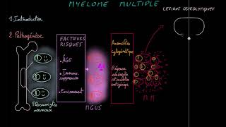 Myélome multiple  Docteur Synapse [upl. by Liris195]