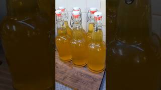 FINALLY  Bottling Day  Making Mead [upl. by Aphra248]