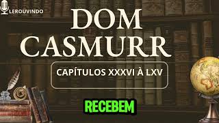 AUDIOBOOK DOM CASMURRO [upl. by Remled]