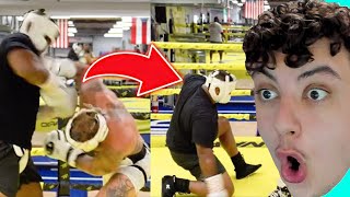 Reacting To Jake Paul DROPS OPPONENT Training For Mike Tyson [upl. by Lytle736]