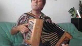 French Accordion [upl. by Ydualc]