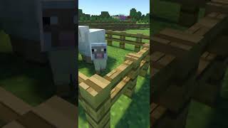 How to breed sheep in minecraft [upl. by Anhcar653]