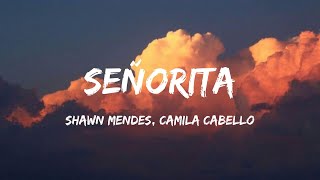 Shawn Mendes Camila Cabello  Señorita James Arthur Anne Marie Loving Caliber Mix Lyrics [upl. by Sowell]