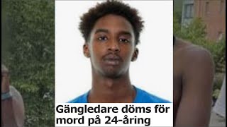 Rättegången med Mohamed Shire Nätverk D [upl. by Nored]