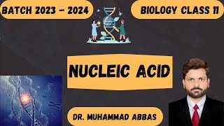 Nucleic Acid The Science Behind DNA [upl. by Creath]