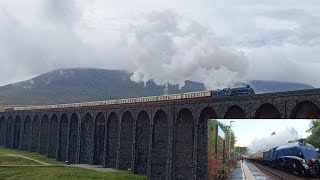 Settle and Carlisle fellsman [upl. by Perl440]