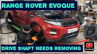 Range Rover Evoque Timing Chain Replacement Part 3 [upl. by Aneras]