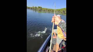 Double up fun on Caddo Lake caddolake fishing [upl. by Radborne967]