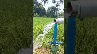 pump set 🏝️village life 💚 paddy field 🌾🌾 [upl. by Sacken]