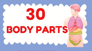 30 Body Parts  Body Parts Name in English Body Parts in Hindi Learn Body Parts body parts names [upl. by Mallin]