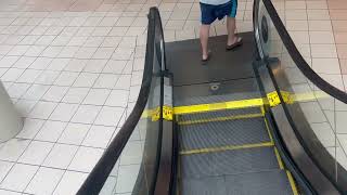 Schindler Escalators near Dillard’s at Altamonte Mall  Altamonte Springs FL [upl. by Mingche622]