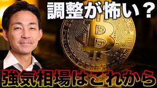 ビットコインの強気相場はこれから。調整が怖い？ [upl. by Snowman]