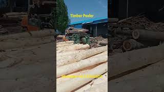 Precise debarking wood grain presentation Wood debarker operation demonstration 🌲🔧 woodworking [upl. by Ahsit316]