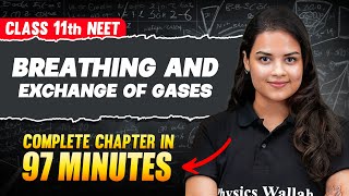 BREATHING AND EXCHANGE OF GASES in 97 Minutes  Full Chapter For NEET  PhysicsWallah [upl. by Okihcim827]