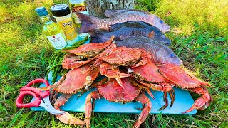 3 Hours of Pier Fishing and Crabbing Delicious Cookout [upl. by Nisior]