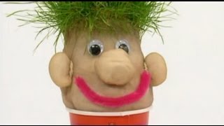 Mister Maker  Mister Grass Head Make [upl. by Dinsdale]