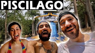 PISCILAGO 2024☀️🐆 IAtracciones precios TOUR completo [upl. by Orfield]