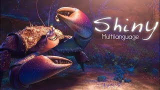 Multilanguage  Shiny  48 versions [upl. by Ammon]