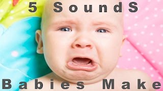 5 Sounds Babies Make  Newborn Cries  HQ [upl. by Olsen223]