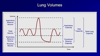 Pulmonary Function Tests PFT Lesson 1  An Introduction [upl. by Ariday629]