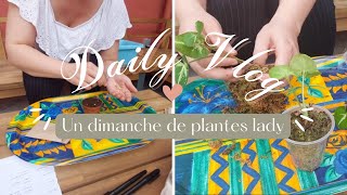 DAILY VLOG  Semis de FLEURS  REMPOTAGE  HYDROCULTURE🌿🌸 [upl. by Sillek]