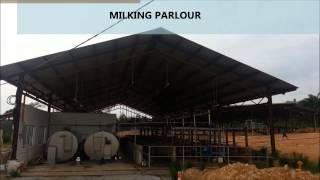 LINGGI DAIRY FARM BY REDAGRI FARM SDN BHD [upl. by Lecirg]