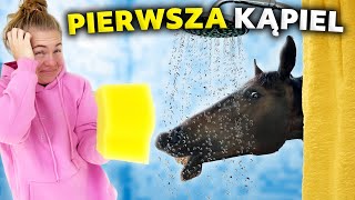 PIERWSZA KĄPIEL PRIMY  Wielkie SPA wszystkich koni 😍 [upl. by Caras318]