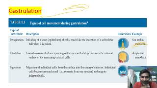 Developmental Biology  lecture 6  Gastrulation  movement in gastrula  CSIRNET GATE [upl. by Nies661]