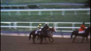 Triple Crown Winners Secretariat Seattle Slew and Affirmed [upl. by Adaner]