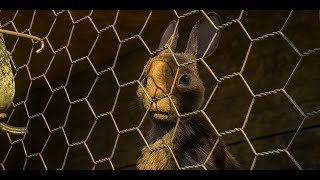 WATERSHIP DOWN TRAILER 2018 [upl. by Orestes639]