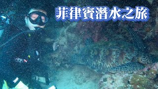 第一次外國潛水終於見到海龜菲律賓薄荷島 EP1 [upl. by Ayanad]