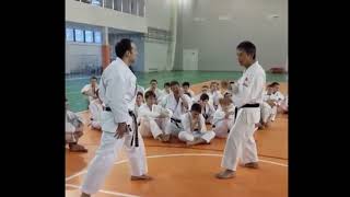 2017 RTKF gasshuku Sensei Kawasoe Masao Maegeri amp distance in kumite [upl. by Belding]