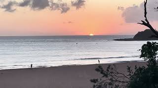 Sunrise at Terrigal Beach Multiple bird fly passes [upl. by Corbin710]