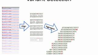 Statistics for Genomics Intro to Next Generation Sequencing [upl. by Einnob]