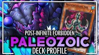 Paleozoic Deck Profile PostINFO  YuGiOh [upl. by Lou]