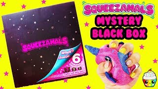 Squeezamals MYSTERY BLACK BOX 6 Exclusive Plush Animal Squishies [upl. by Quirk]