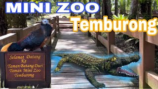 MINI ZOO TEMBURONG l BATANG DURI TEMBURONG [upl. by Ikcim]