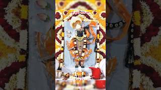 Shrinath Ji Status🌸 श्रीनाथजी l Shreenathji status l Shri Nath ji bhajan status shorts shrinathji [upl. by Aidnahs]