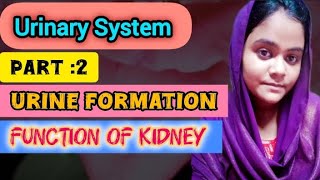 urine formation 😱  function of kidney part of nephron must watch ☑️✅studymotivation [upl. by Beichner]