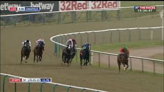 Racehorse shows incredible burst of speed [upl. by Arahk]