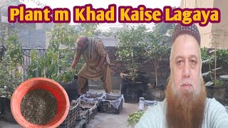 Plant M Khad Kaise Lagaya explorewithahmad21 [upl. by Hareehahs927]