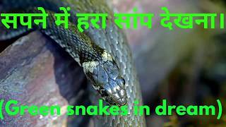 सपने में हरा रंग का सांप देखना।Green snake in dreams [upl. by Lynnea305]